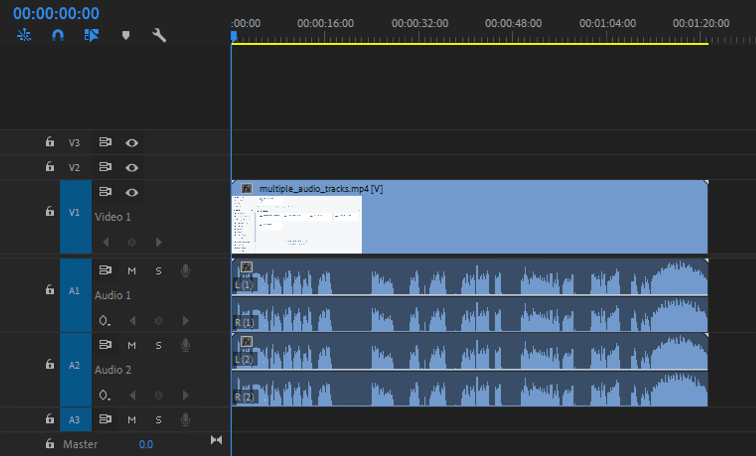 Single Video Track linked with Multiple Audio Tracks